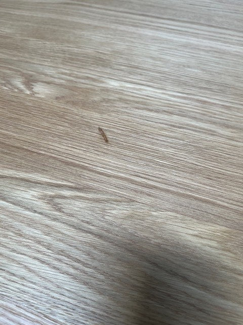 Maximus Oak 1.6m Round Dining Table - May30